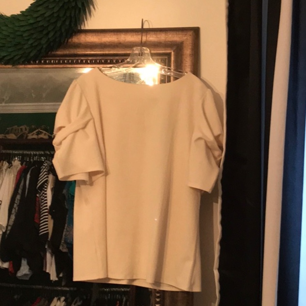Ann Taylor Blouse